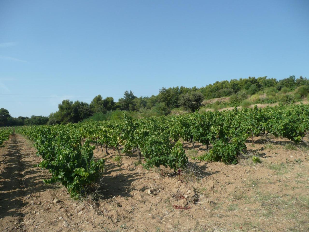 Gite Du Serre De Boudre Climatise, Spa Permanent Buisson 外观 照片